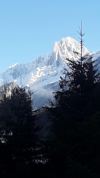 Chalet Les Charmilles - Vallee De Chamonix - 5 Chambres Les Houches Exteriér fotografie